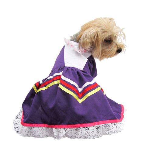 Vestido Perro Traje Tipico Jalisco Talla 0 Mexico Morado Pet Pals