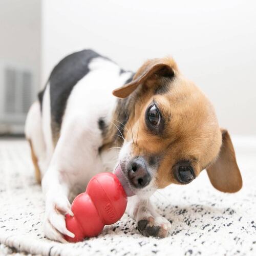 Juguete Para Perro Caucho Natural Clásico Chico Rojo Kong
