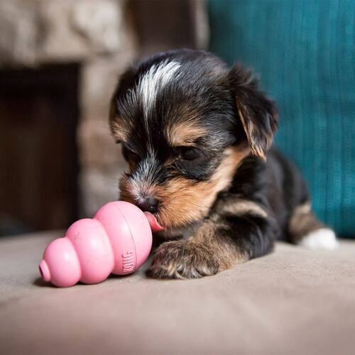 Juguete Para Perro Cachorro Grande Mascota Puppy Kong