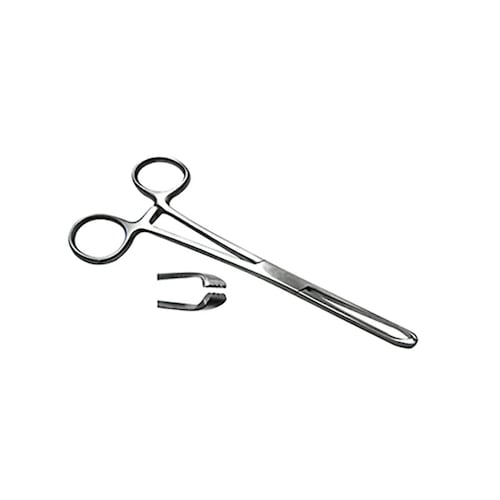 Pinza Allis 15 Cm Acero Inoxidable Económica Hergom Silvery