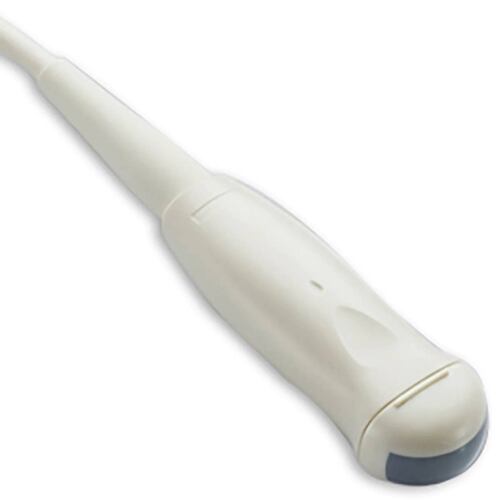 Transductor Microconvexo Multifrecuencia Veterinario Mindray