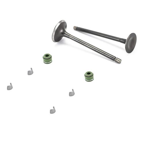 Juego valvulas admisión/escape DM200/RC200/TX200 