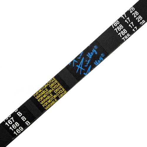 Banda dentada788x17x28 P/Vento Zip 50/90 Triton 