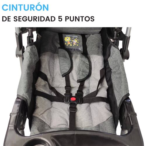 Carriola Reversible con Tablero Reclinado,Frenos,Portavaso  - Gris.