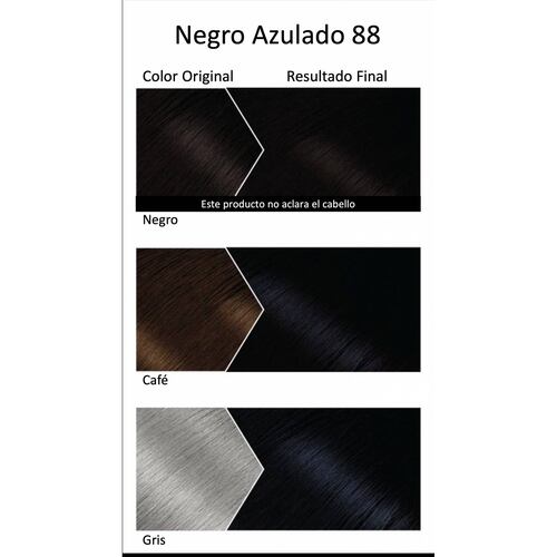 Tinte Bigen En Polvo Negro Azulado 88 Permanente 6g