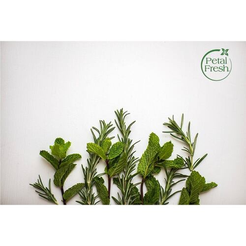 Petal Fresh Shampoo  Romero y Menta Voluminizador Orgánico