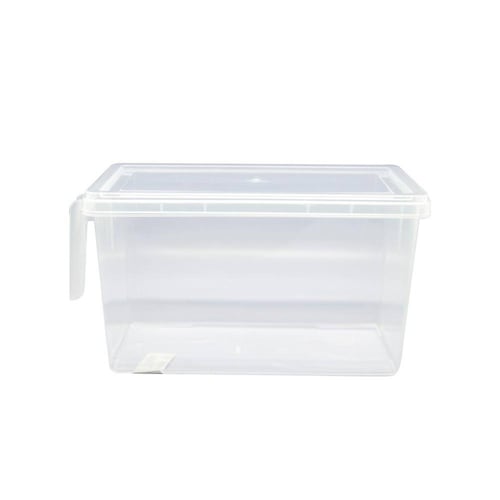 Caja de plástico con tapa y manija 