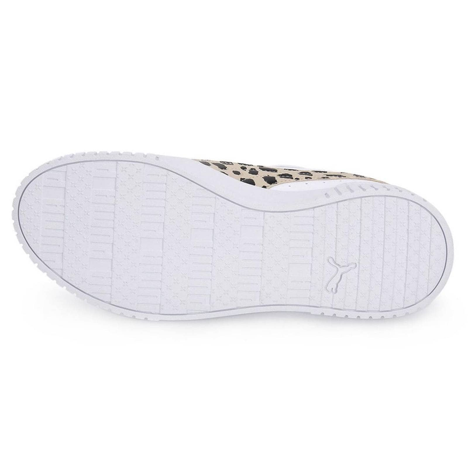 Puma carina leopard best sale