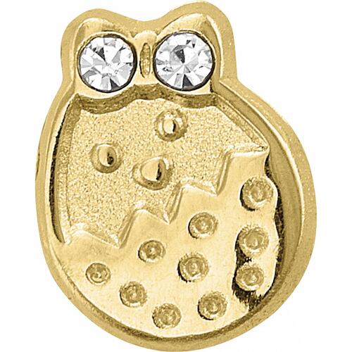 Broquel Pollito Cascaron 10K - 3460