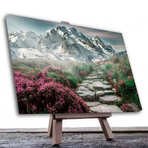 Cuadro Decorativo Canvas  Camino a las Montañas..