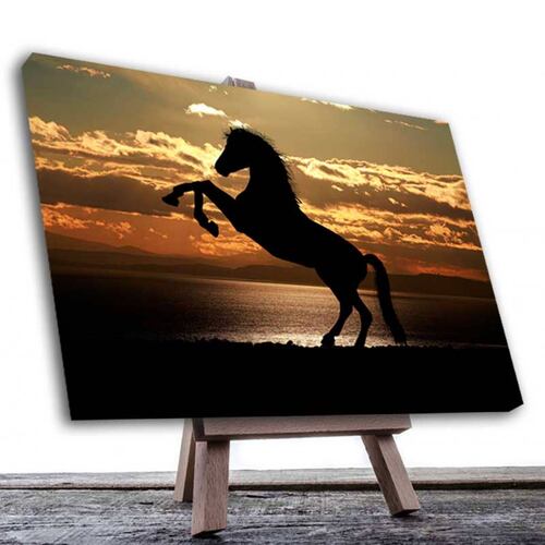 Cuadro Decorativo Caballo Rampante en el Atardecer