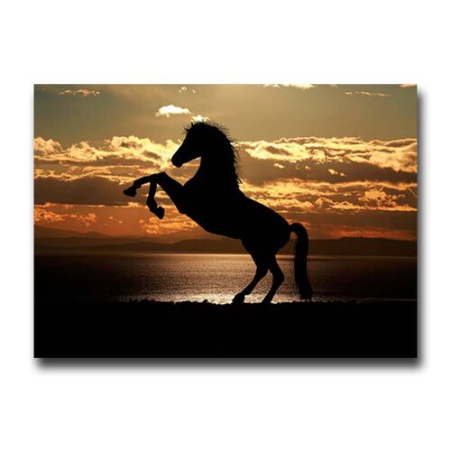 Cuadro Decorativo Caballo Rampante en el Atardecer