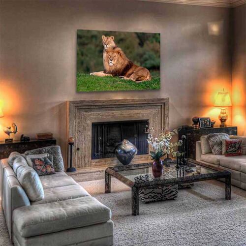 Cuadro Decorativo Canvas Paisaje Pareja de Leones.