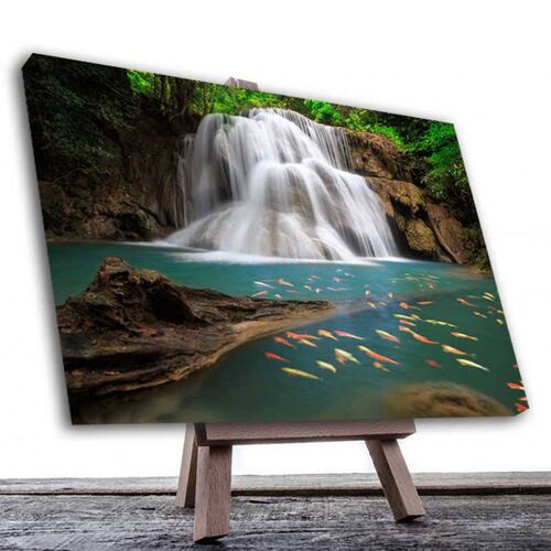 Cuadro Decorativo Canvas Paisaje Peces en la  Cascadas