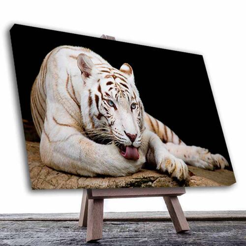 Cuadro Decorativo Canvas Paisaje de Tigre Blanco de 60 x 40 cm