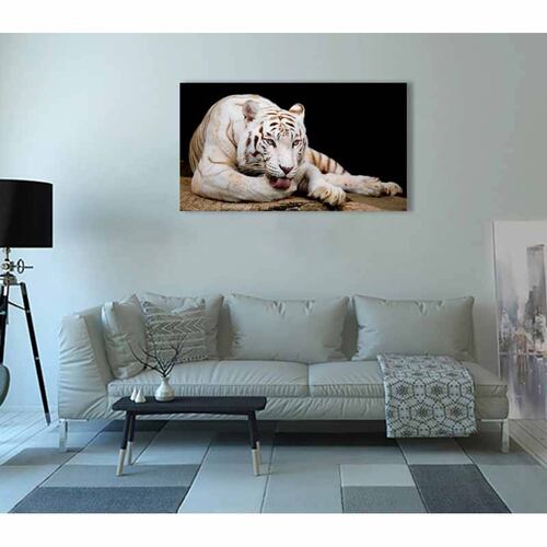 Cuadro Decorativo Canvas Paisaje de Tigre Blanco de 60 x 40 cm