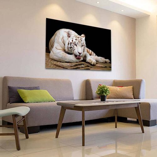 Cuadro Decorativo Canvas Paisaje de Tigre Blanco de 60 x 40 cm