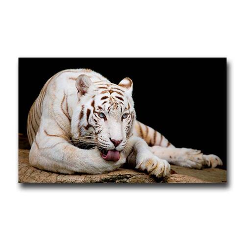 Cuadro Decorativo Canvas Paisaje de Tigre Blanco de 60 x 40 cm