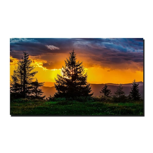 Cuadro Decorativo Canvas Paisaje de Bosque al atardecer de 90 X 60 cm