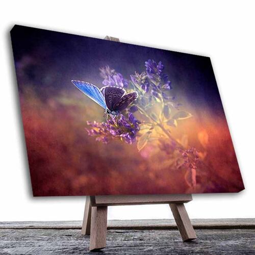 Cuadro Decorativo Canvas Paisaje Mariposa de color morado de 60 x 40 cm