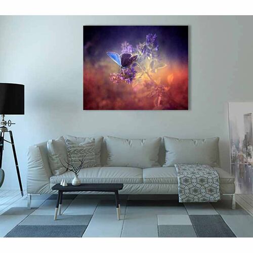 Cuadro Decorativo Canvas Paisaje Mariposa de color morado de 60 x 40 cm