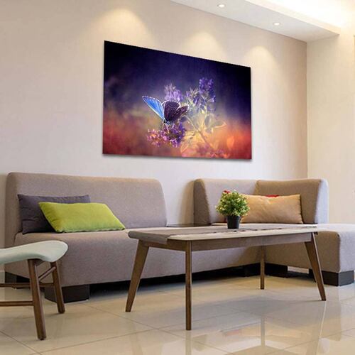 Cuadro Decorativo Canvas Paisaje Mariposa de color morado de 60 x 40 cm