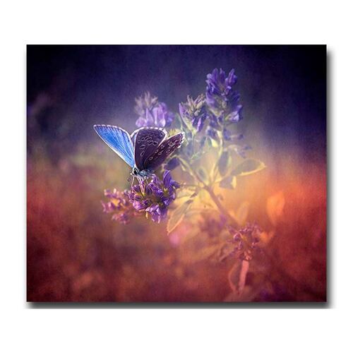 Cuadro Decorativo Canvas Paisaje Mariposa de color morado de 60 x 40 cm
