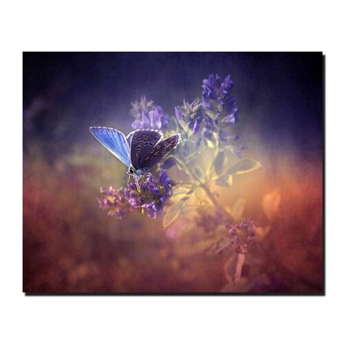 Cuadro Decorativo Canvas Paisaje Mariposa de color morado de 60 x 40 cm