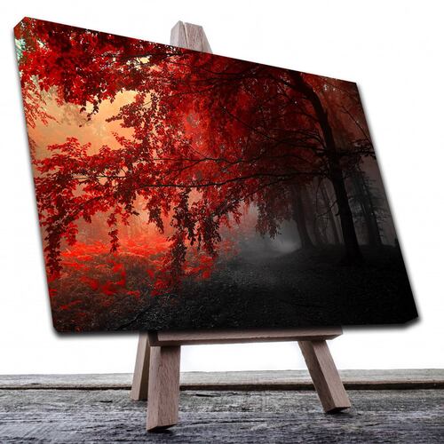 Cuadro Decorativo Canvas Paisaje de Bosque con Arboles Rojos de 60 x 40 cm