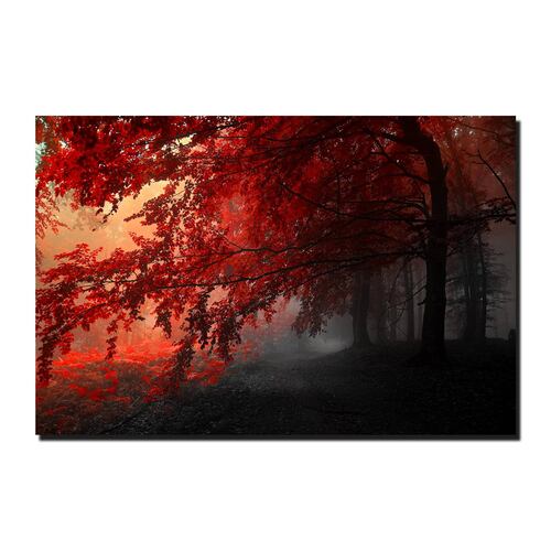 Cuadro Decorativo Canvas Paisaje de Bosque con Arboles Rojos de 60 x 40 cm