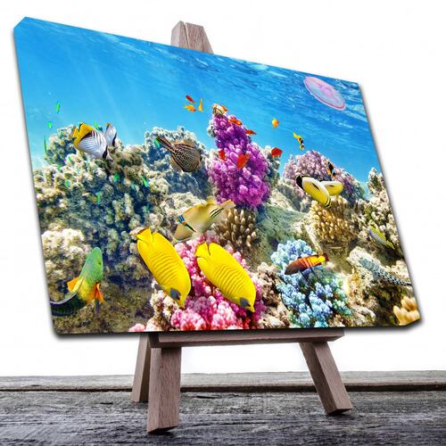 Cuadro Decorativo Canvas Paisaje de Arrecifes y Peces de 120 X 80 cm.