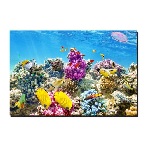 Cuadro Decorativo Canvas Paisaje de Arrecifes y Peces de 120 X 80 cm.