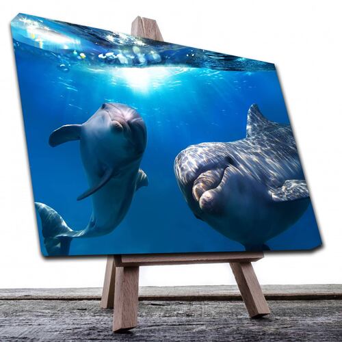 Cuadro Decorativo Canvas Paisaje de Delfines de 120 X 60 cm.