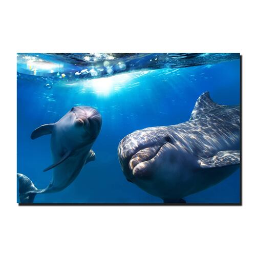 Cuadro Decorativo Canvas Paisaje de Delfines de 120 X 60 cm.