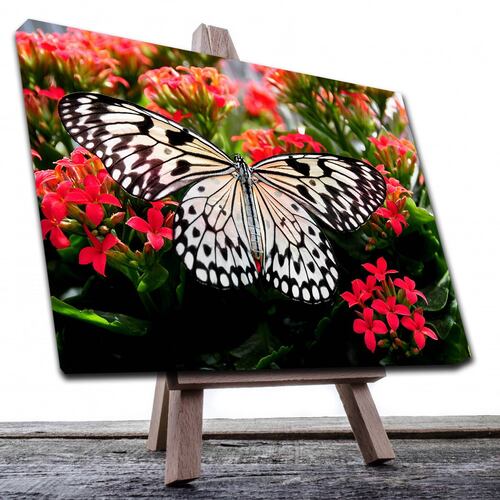 Cuadro Decorativo Canvas Paisaje Mariposa blanca sobre flores rojas de 120 X 60 cm.