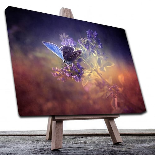 Cuadro Decorativo Canvas Paisaje Mariposa de color morado de 120 X 60 cm.