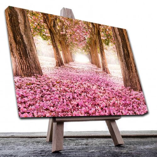 Cuadro Decorativo Canvas Paisaje de camino de pétalos rosas en el bosque de 120 X 60 cm.