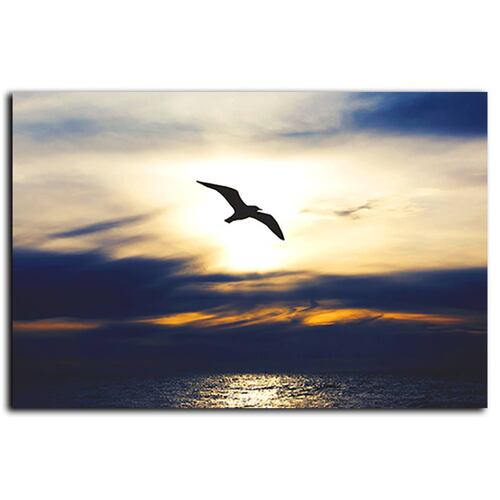 Cuadro Decorativo Canvas Gaviota en el Atardecer 120 X 60 cm.