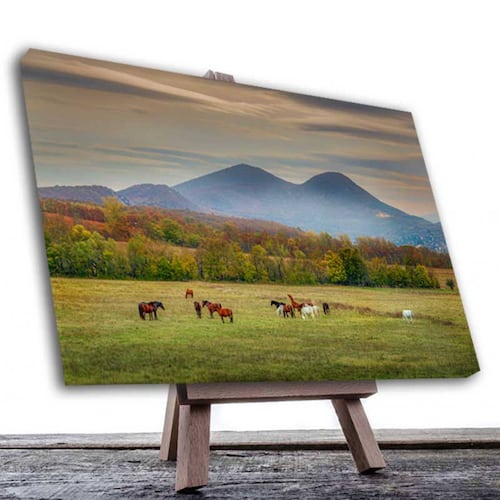 Cuadro Decorativo Caballos en la Pradera 120 X 60 cm.