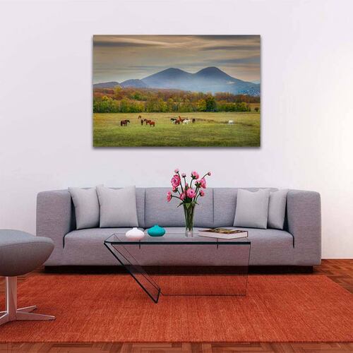 Cuadro Decorativo Caballos en la Pradera 120 X 60 cm.