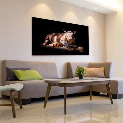 Cuadro Decorativo Canvas Rinoceronte acostado 120 X 60 cm.