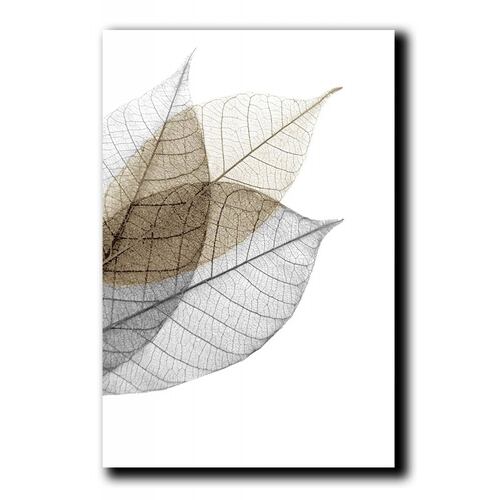 Cuadros Decorativos Set de 3 pzs Canvas de hojas moderno #2 60 X 90 cm.