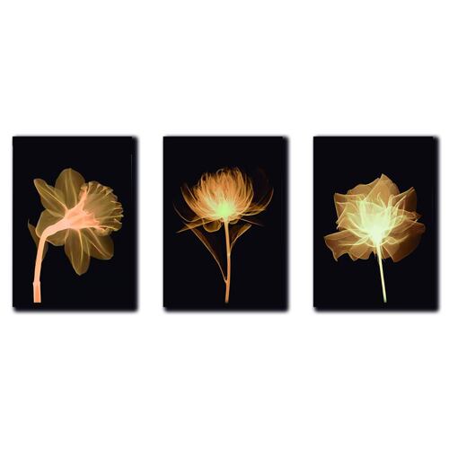 Cuadros Decorativos Set de 3 pzs Flores doradas moderno 60 X 90 cm.