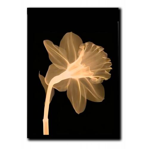 Cuadros Decorativos Set de 3 pzs Flores doradas moderno 60 X 90 cm.