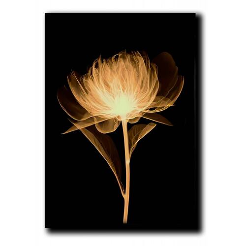 Cuadros Decorativos Set de 3 pzs Flores doradas moderno 60 X 90 cm.