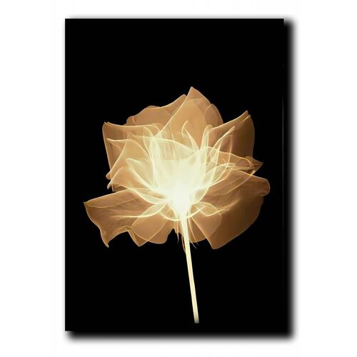 Cuadros Decorativos Set de 3 pzs Flores doradas moderno 60 X 90 cm.