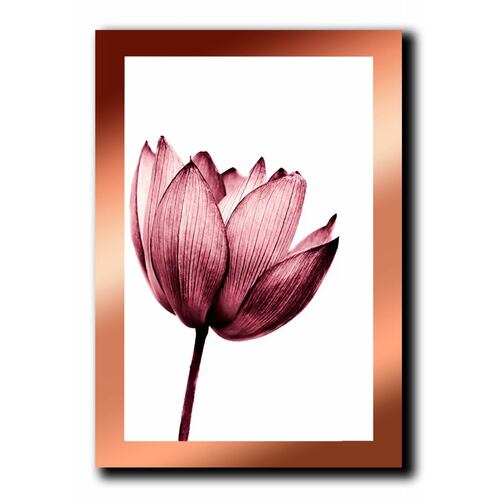 Cuadros Decorativos Set de 3 pzs Canvas de Flores 30 X 45 cm