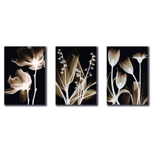 Cuadros Decorativos Set de 3 pzs Flores doradas moderno #2 30 X 45 cm