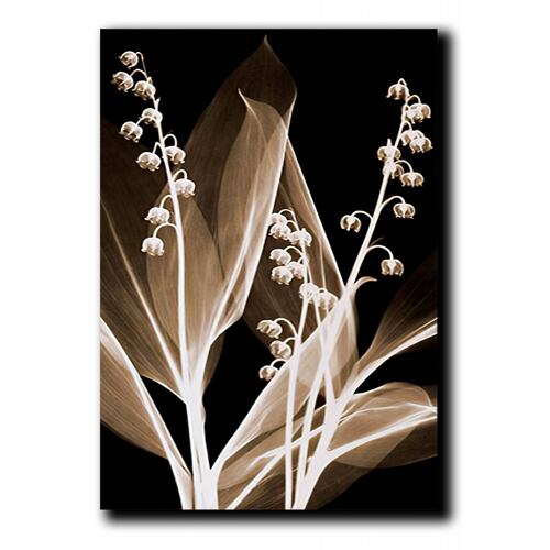 Cuadros Decorativos Set de 3 pzs Flores doradas moderno #2 30 X 45 cm