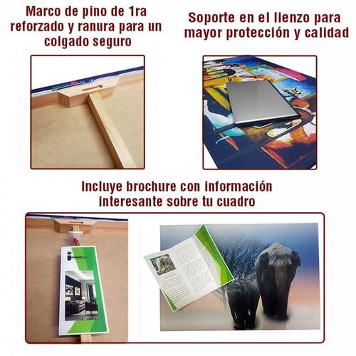 Cuadros Decorativos Set de 3 Piezas Para niños  Leon, tortuga y Jirafa 20 X 30 cm.